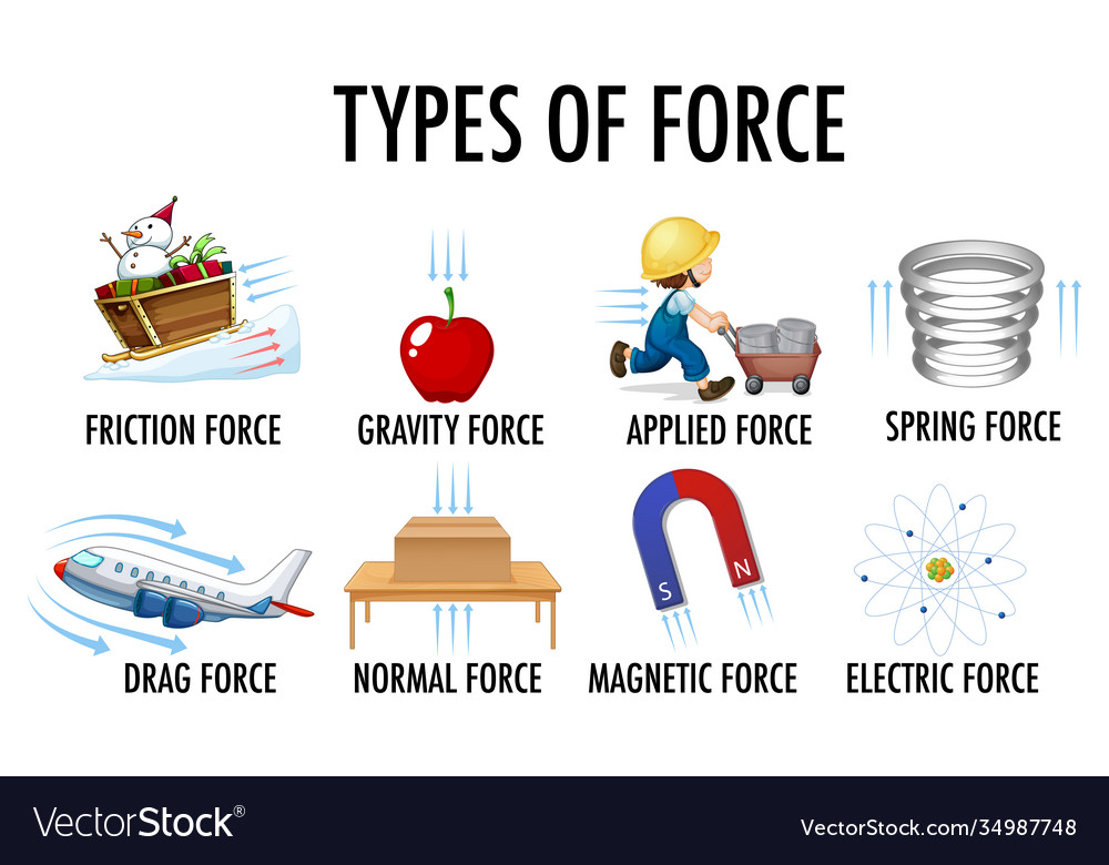 Types Force For Children Physics Educational Vector Image