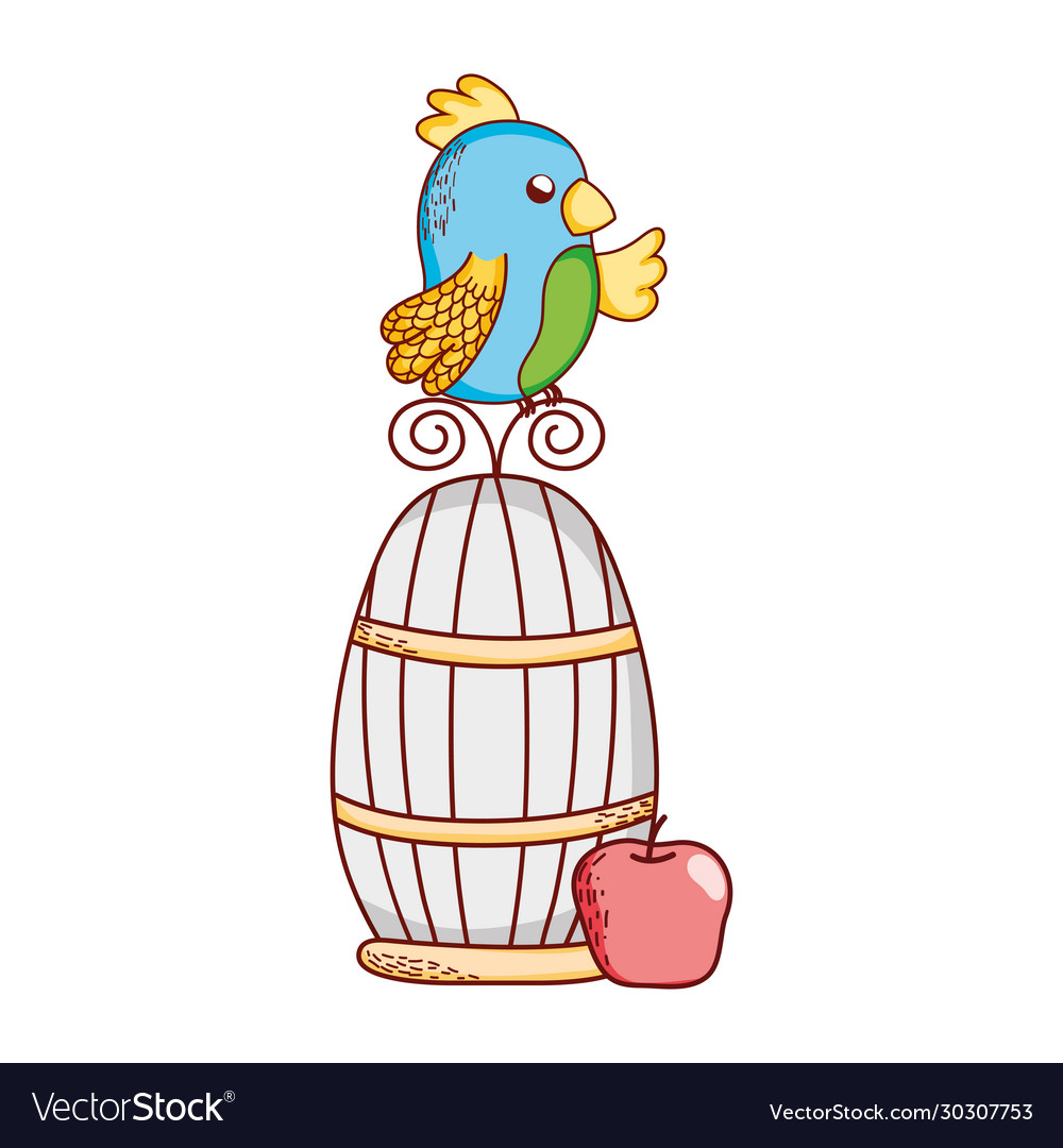 Cute animals parrot on cage with apple nature