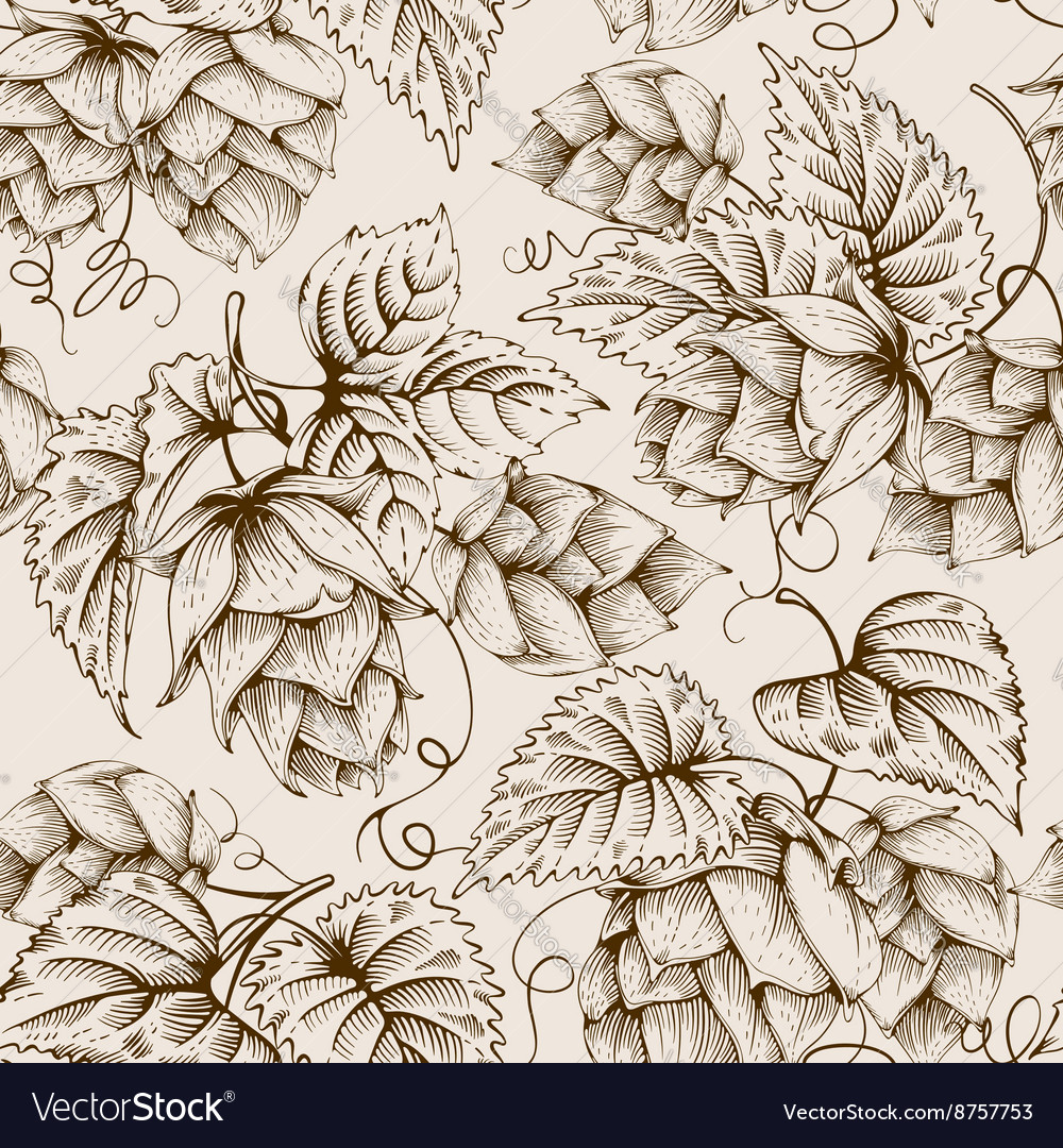 Hops graphic pattern Royalty Free Vector Image