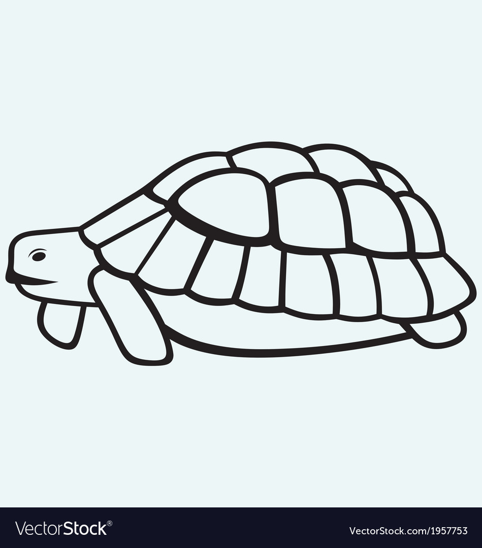 Sea turtle Royalty Free Vector Image - VectorStock