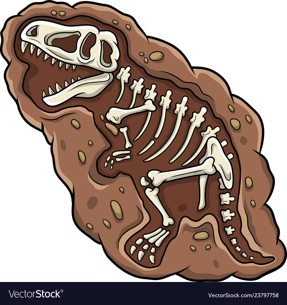 cartoon fossil