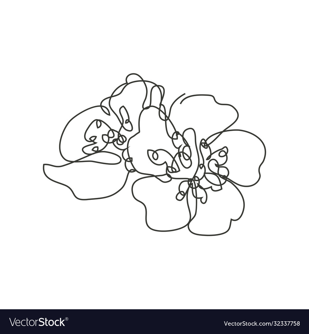 Decorative hand drawn cherry blossom sakura Vector Image