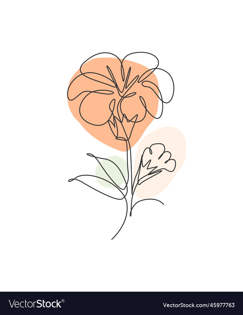 One single line drawing beauty hibiscus flower Vector Image