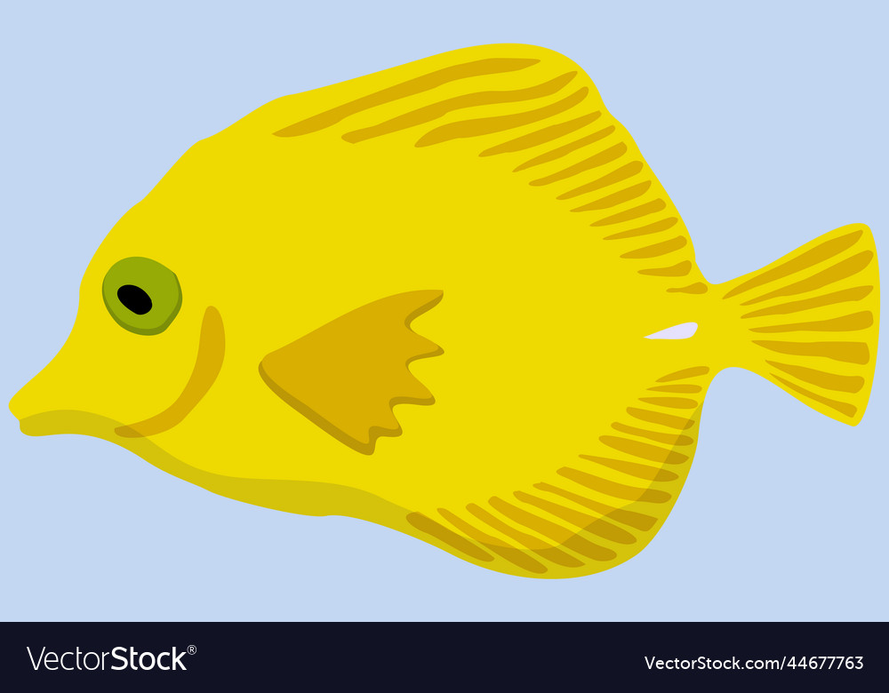 Yellow marine exotic fish Royalty Free Vector Image