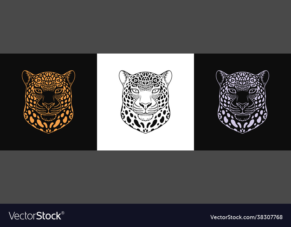 Gold schwarz und silber jaguar Kopf Set isoliert vector image Gold schwarz und silber jaguar Kopf Set isoliert