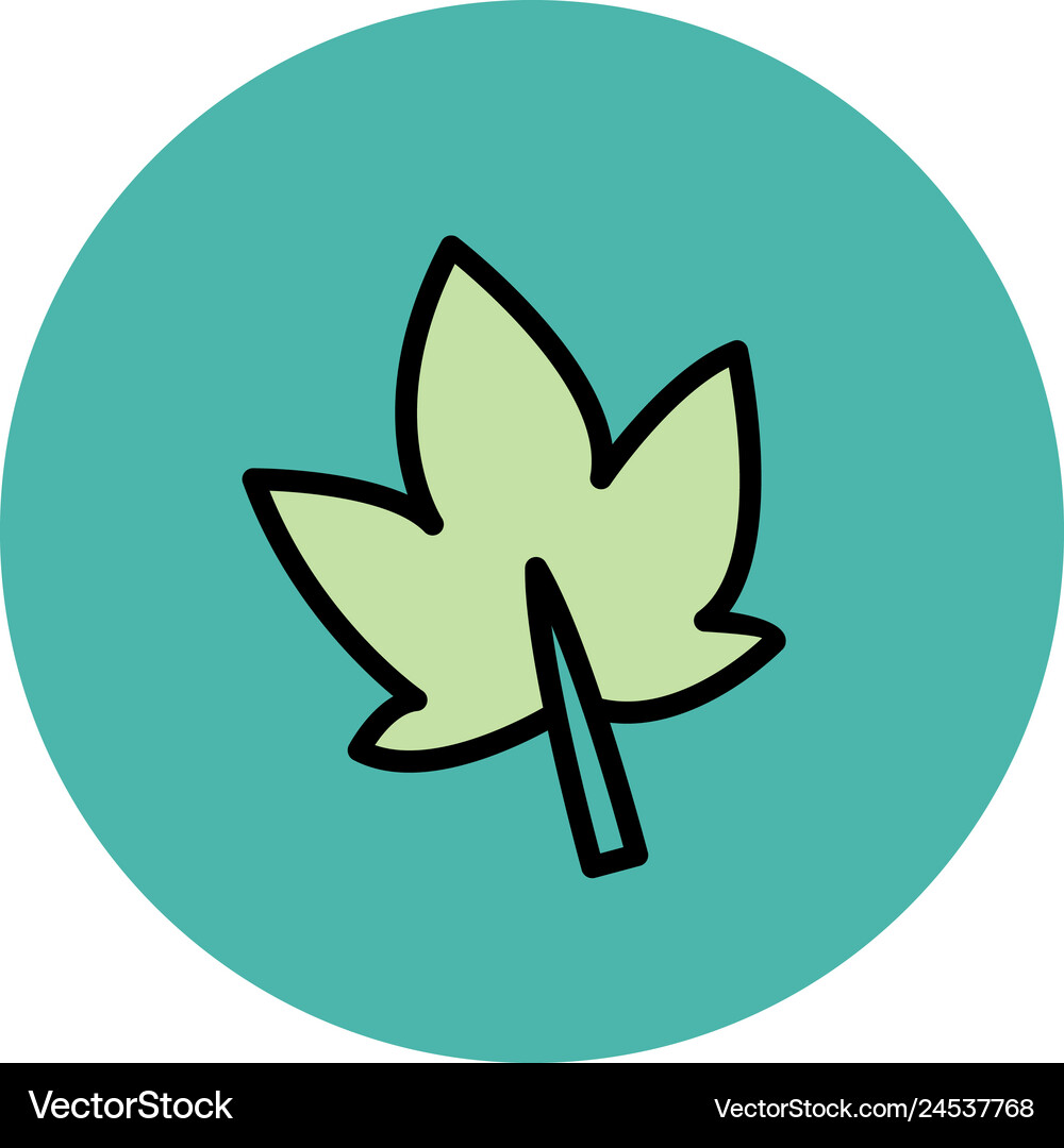 Palm leaf icon Royalty Free Vector Image - VectorStock