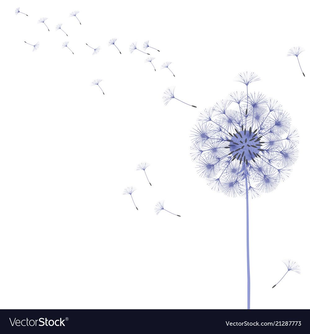 Abstract background of a dandelion for design vector image Abstract background of a dandelion for design