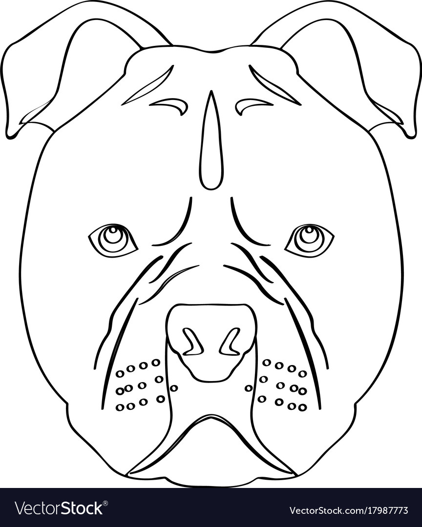 Isolated pitbull avatar Royalty Free Vector Image