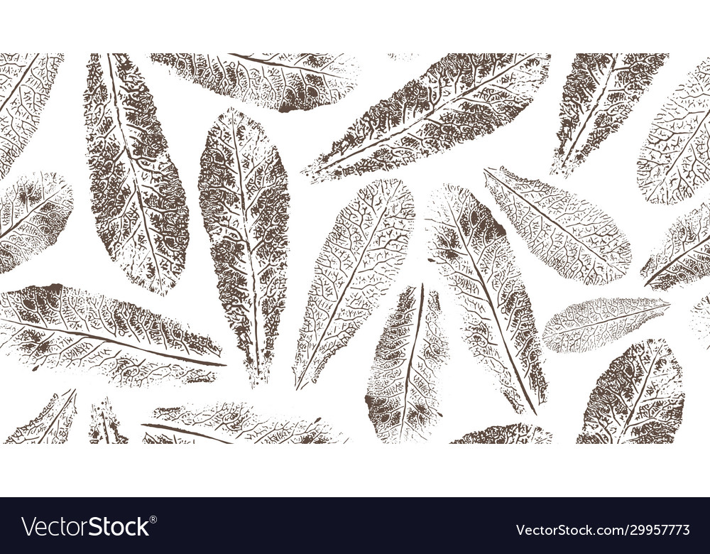 Seamless pattern with scattered prints gray vector image Seamless pattern with scattered prints gray