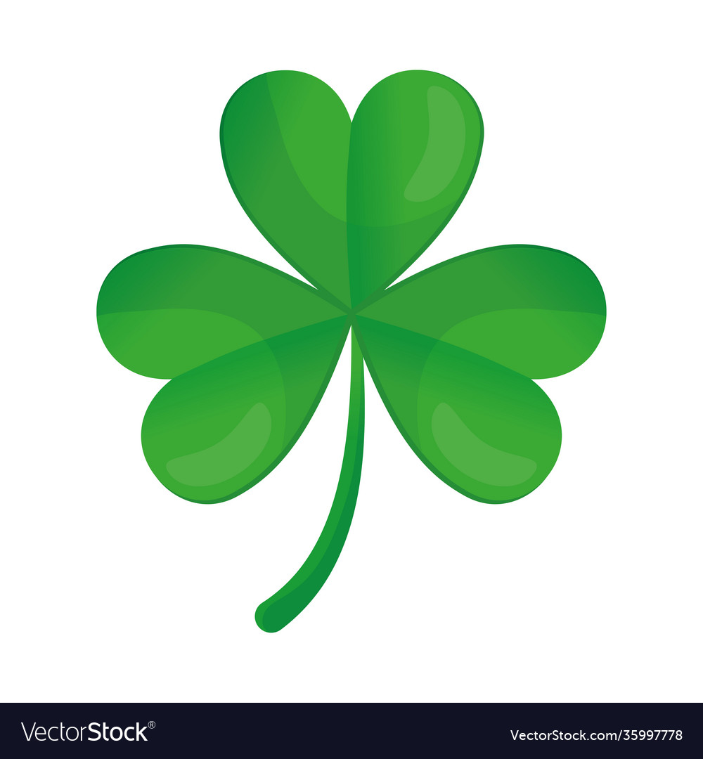 Clover on a white background Royalty Free Vector Image