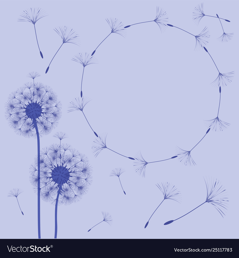 Abstract frame a dandelion for design vector image Abstract frame a dandelion for design