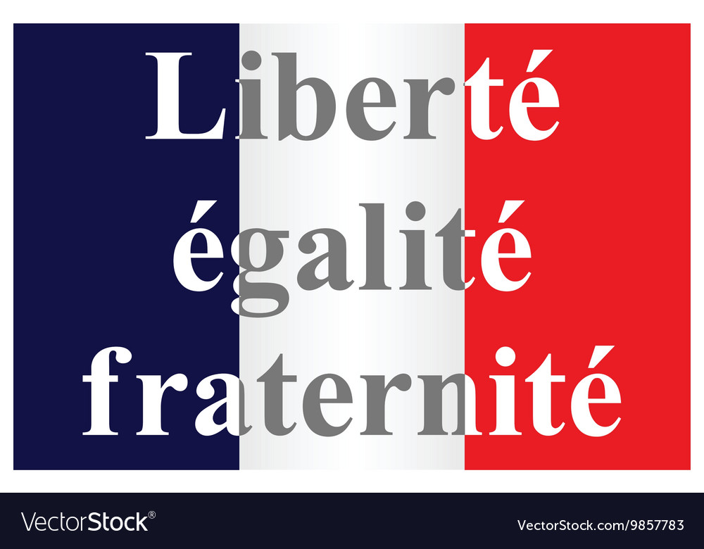 French Republic Flag Royalty Free Vector Image