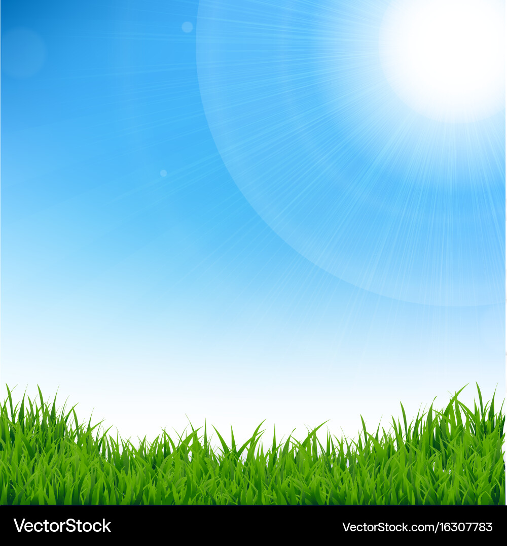 Green grass border Royalty Free Vector Image - VectorStock