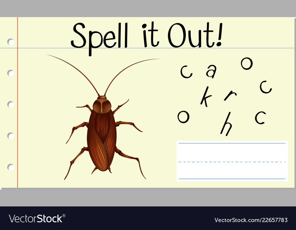 Англ 9 комар. Mouse Spell it out.
