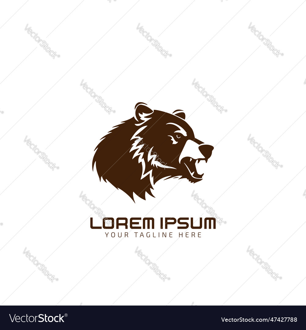 Bear logo icon design Royalty Free Vector Image