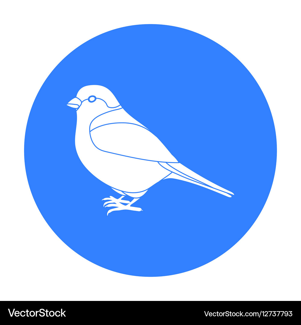 Bullfinch icon in black style isolated on white Vector Image
