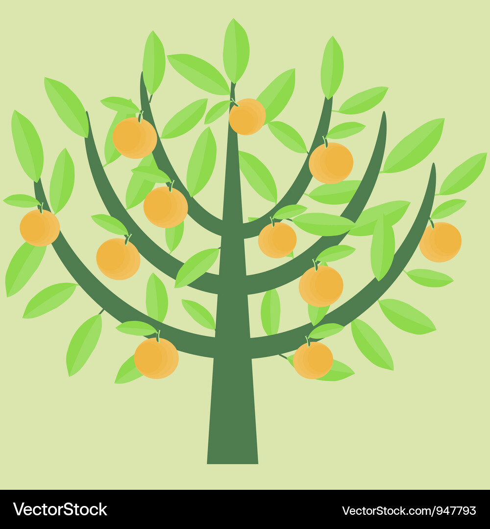 Orange tree Royalty Free Vector Image - VectorStock