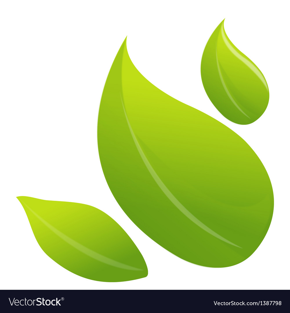 Icon Leaf Royalty Free Vector Image - Vectorstock