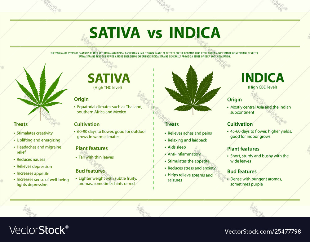 Cannabis Weight Chart