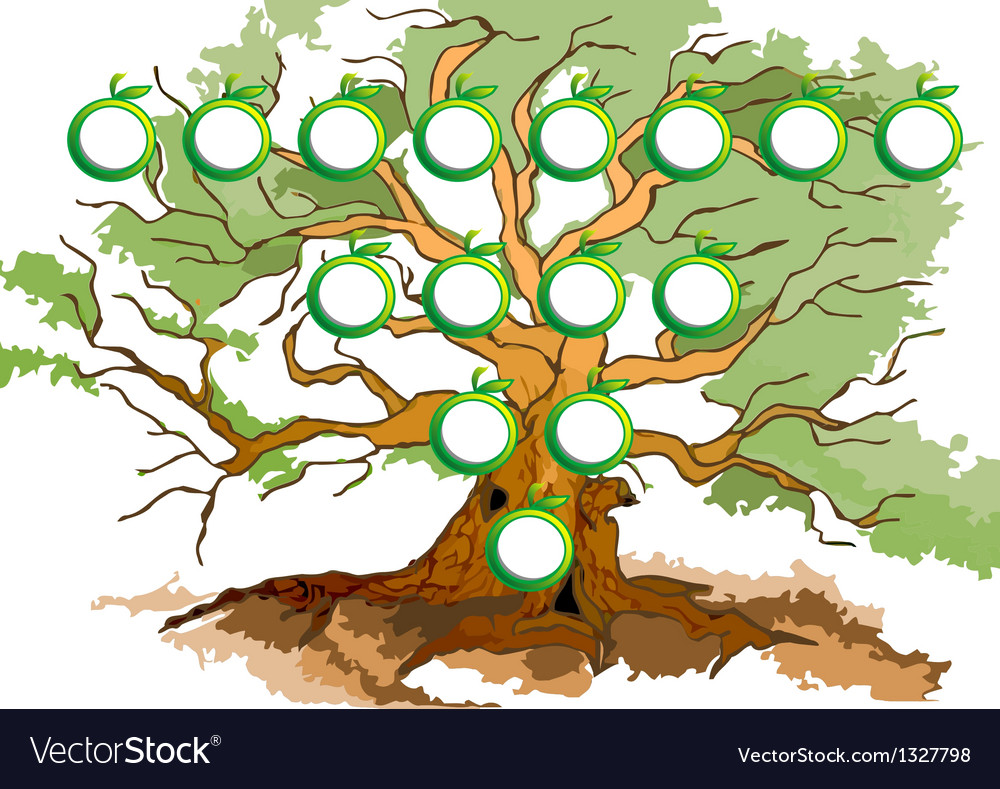 Tree diagram