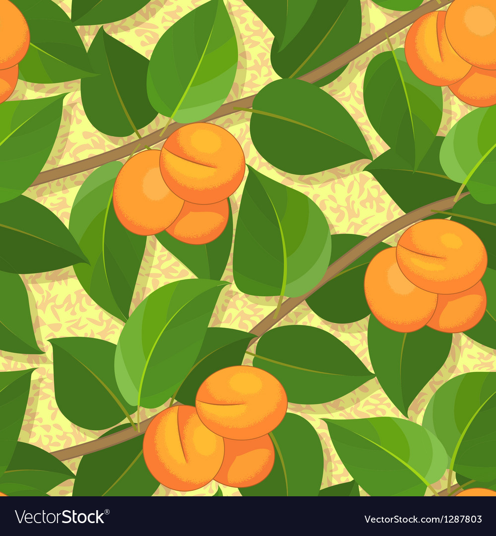 Peach Branch Pattern - Seamless