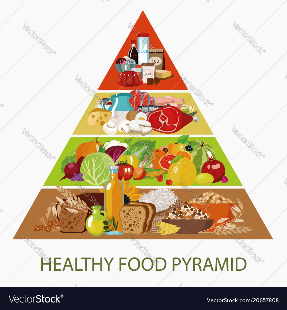 Food pyramid Royalty Free Vector Image - VectorStock