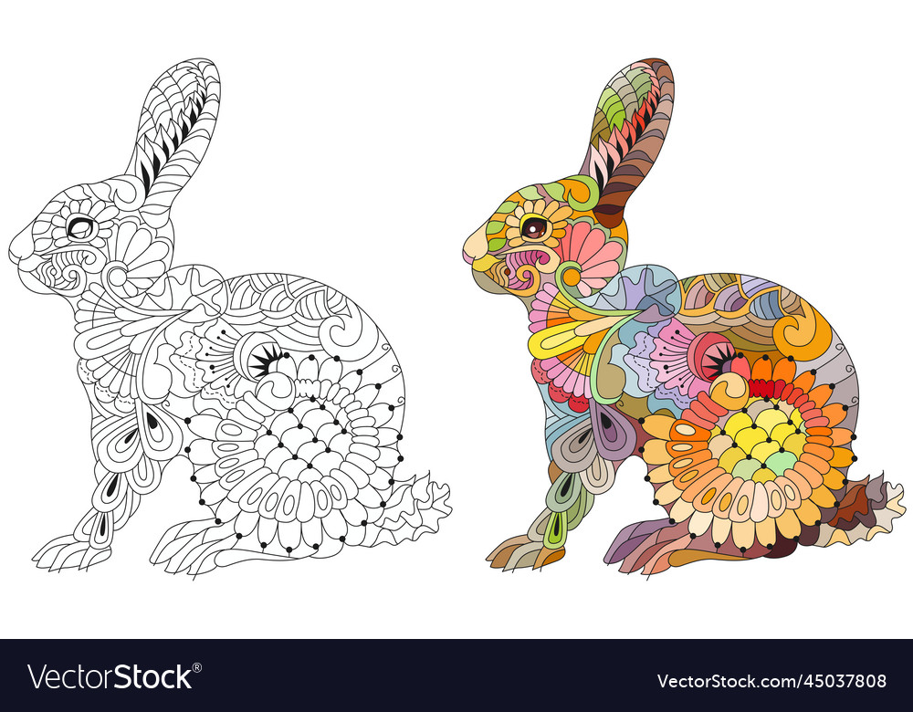 Spring rabbit coloring page for adult