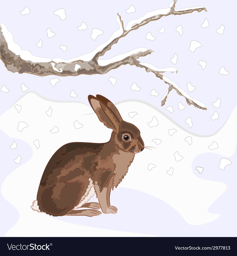 Bunny and snow with old branches christmas theme