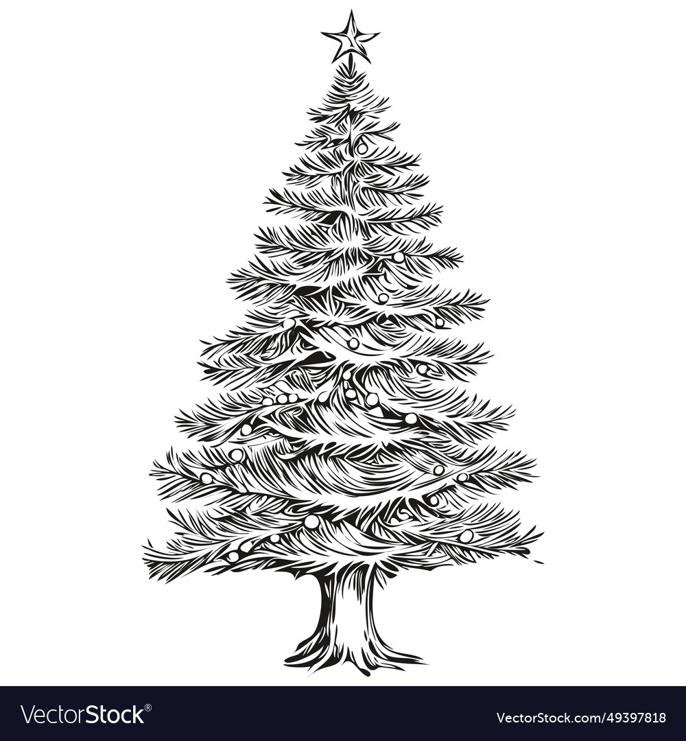 Christmas tree vintage engraved hand drawn sketch Vector Image