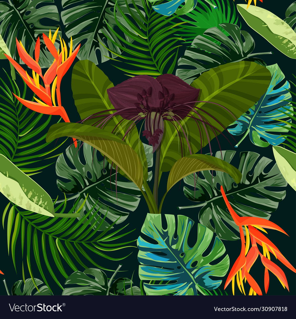 Dark purple tacca flower and heliconia background