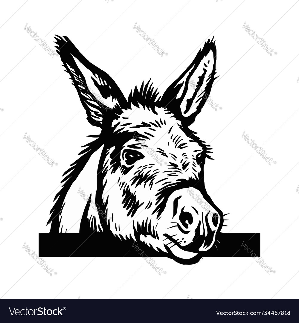 Donkey sketch graphics a monochrome graphic Vector Image