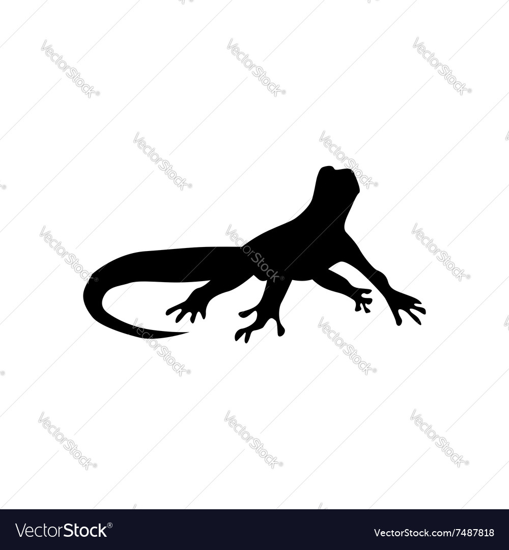 Lizard black silhouette Royalty Free Vector Image