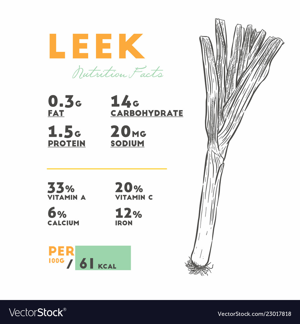 Nutrition facts raw leek Royalty Free Vector Image