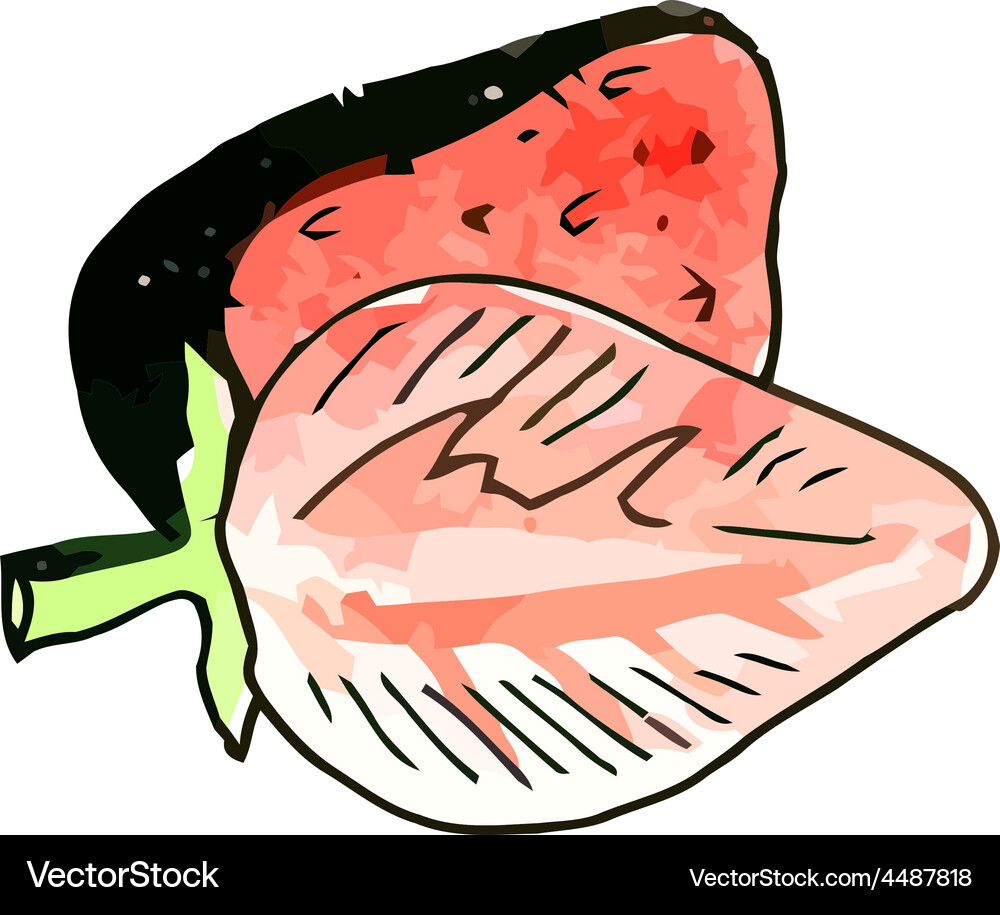 Strawberries Royalty Free Vector Image - VectorStock