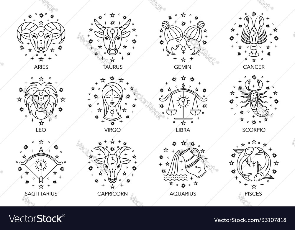 Zodiac signs on white Royalty Free Vector Image