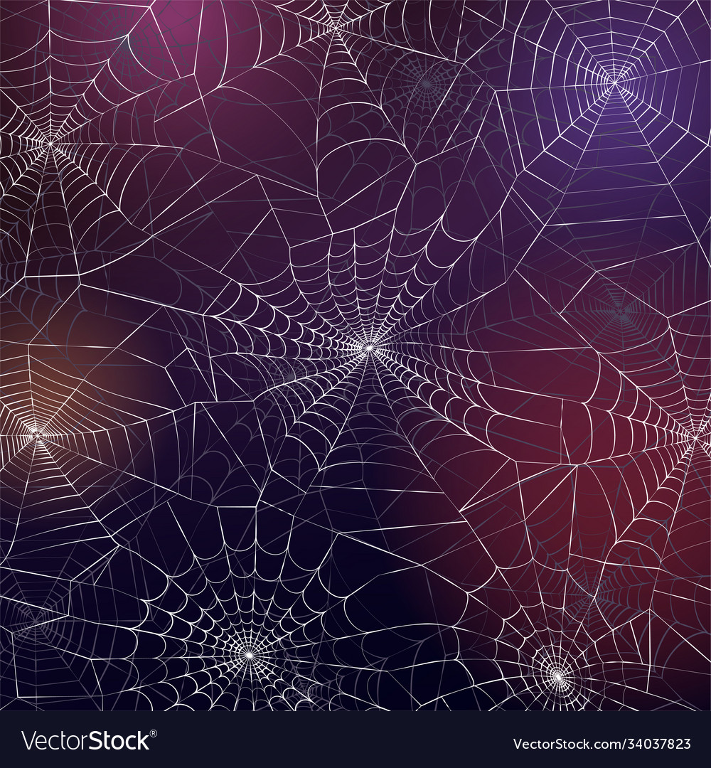 Spooky Spiderweb Pattern