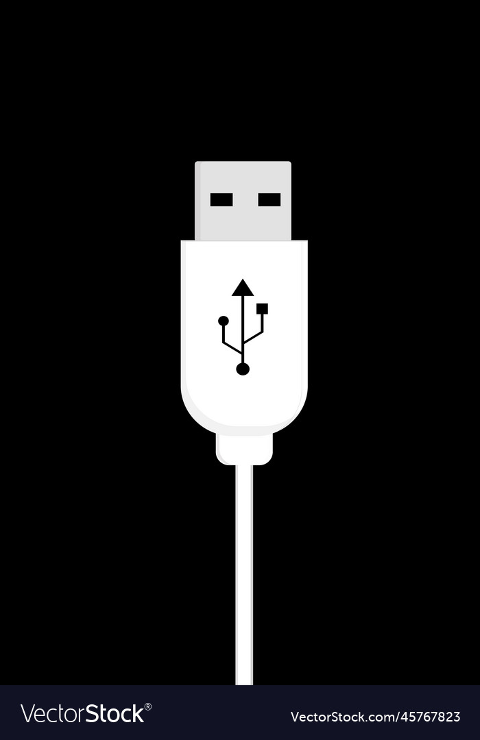 Usb input cable for computer or laptop