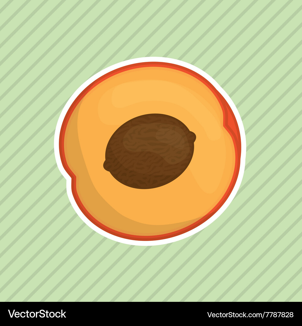 Fruit icon design Royalty Free Vector Image - VectorStock