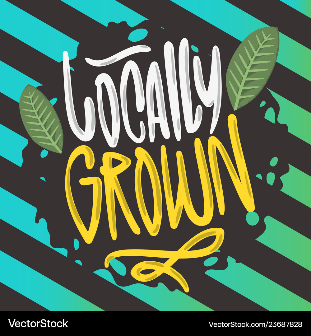 Locally grown hand drawn brush lettering Vector Image