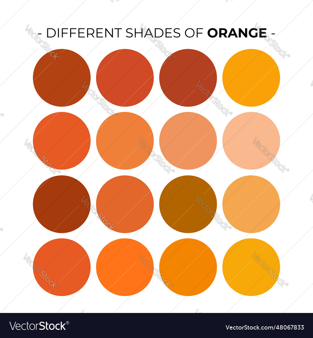 Color palette set design template Royalty Free Vector Image