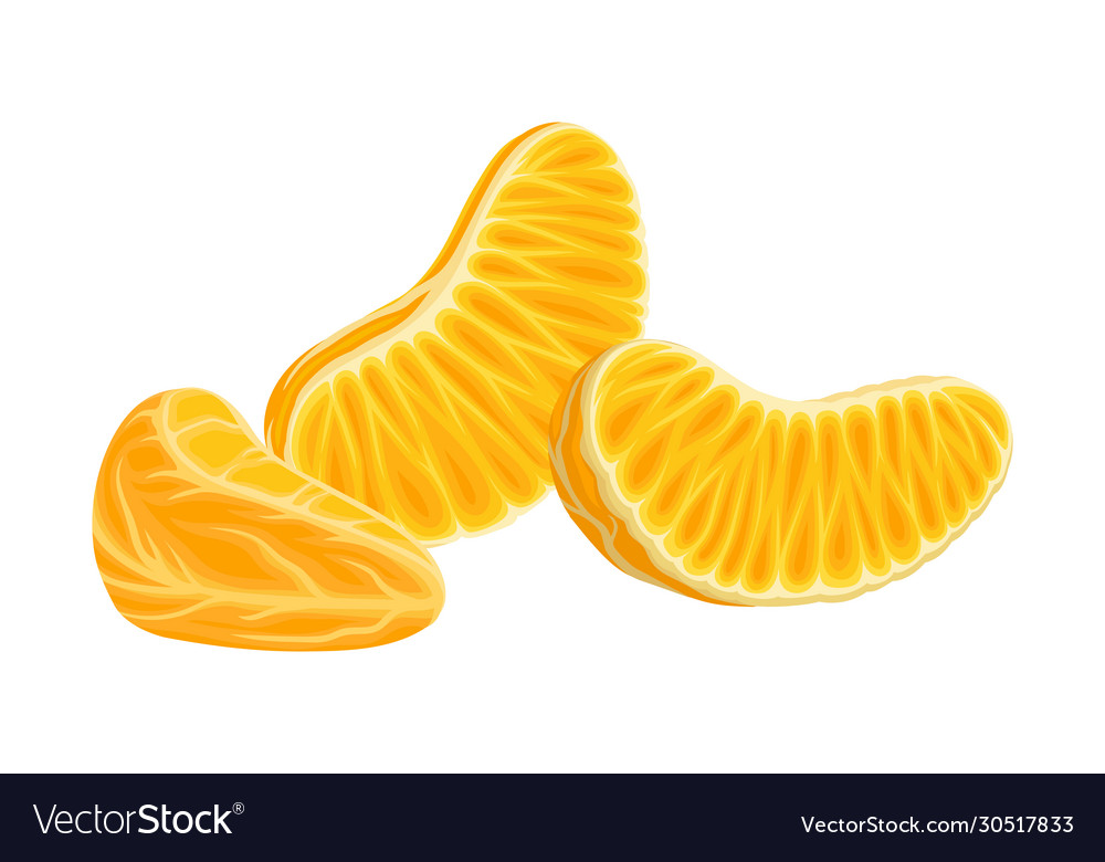 Fresh peeled and segmented mandarin or tangerine