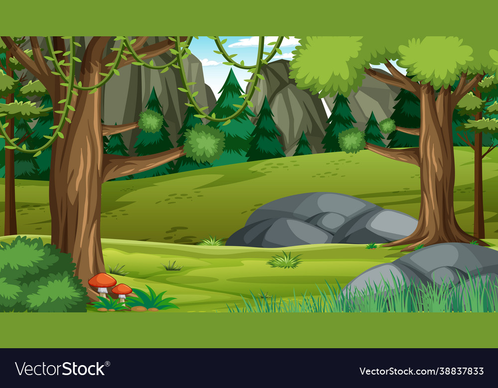 Rainforest scene with various forest trees vector image Rainforest scene with various forest trees