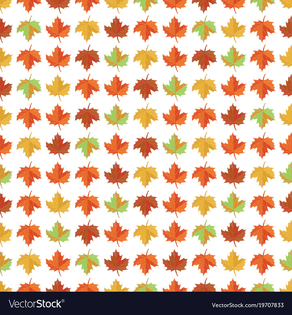 Seamless pattern with yellow red and green maple