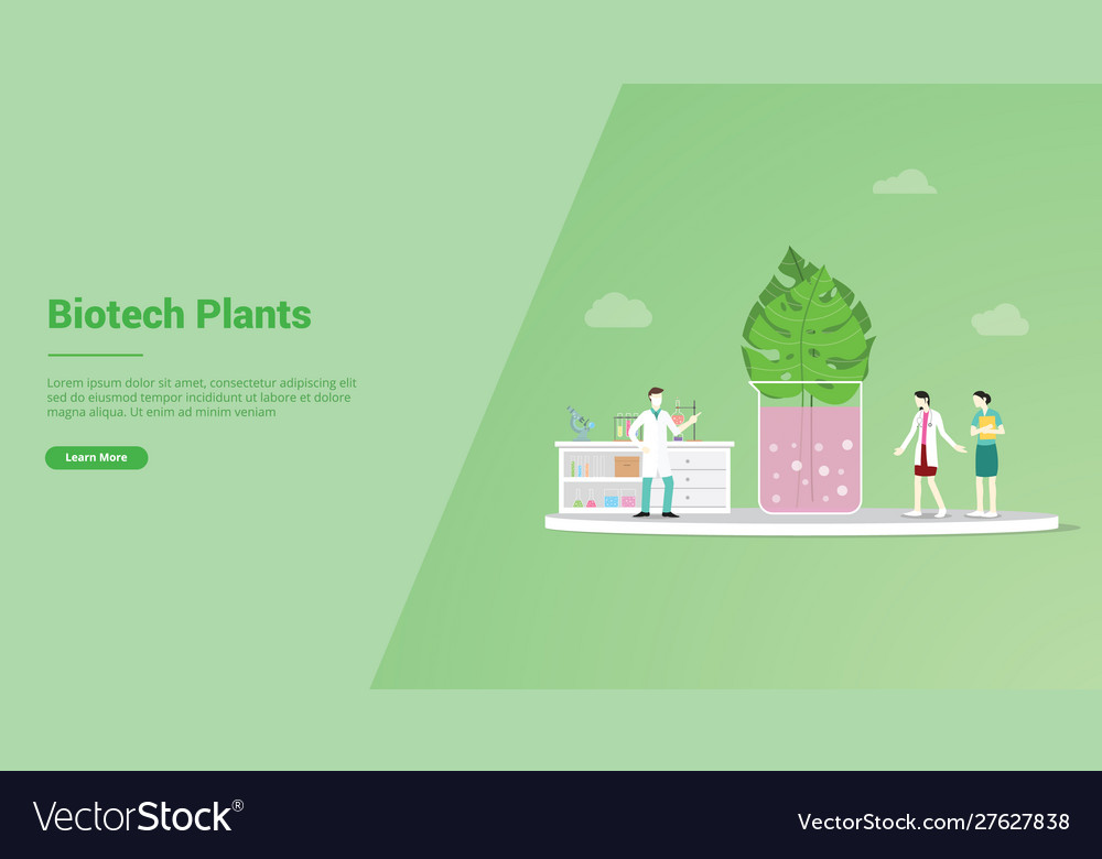 Biotech plants or herbs for website template