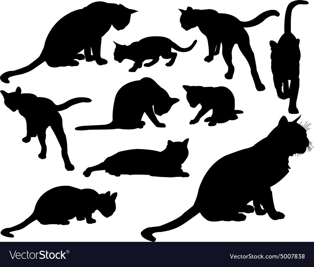 Cat Silhouettes Collection