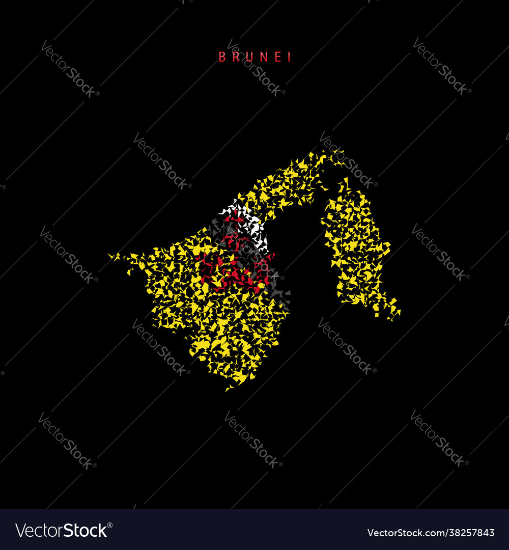 Brunei flag map chaotic particles pattern vector image Brunei flag map chaotic particles pattern