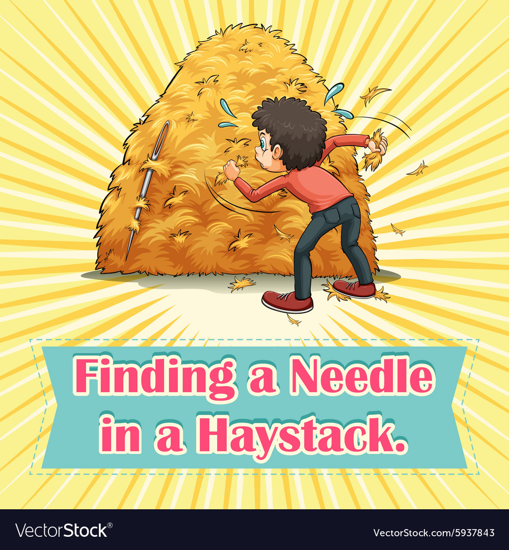 Finding a needle in haystack Royalty Free Vector Image