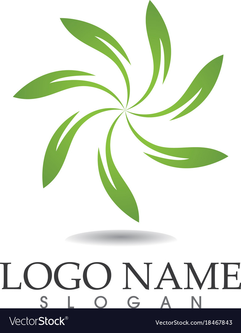 leaf green nature logo and symbol template vector image green template