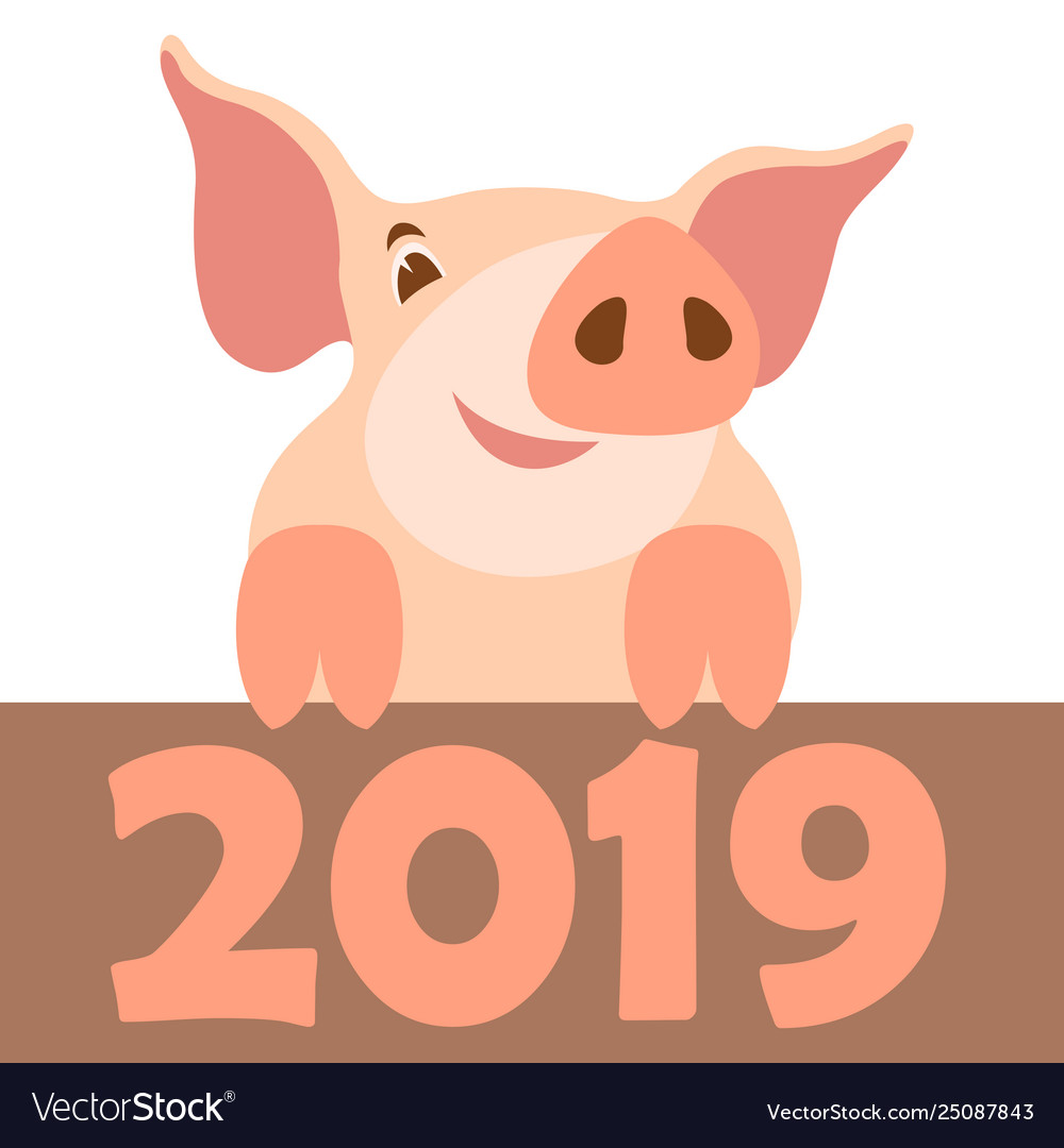 Pig 2019 new year flat