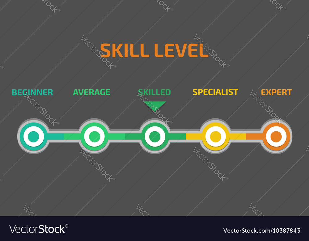 skill-levels-royalty-free-vector-image-vectorstock